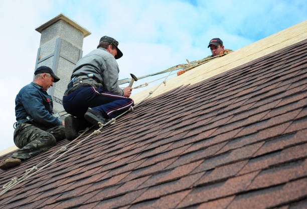 Professional Roofing Contractor in Little River Academy, TX